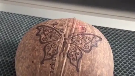mark on coconuts shell